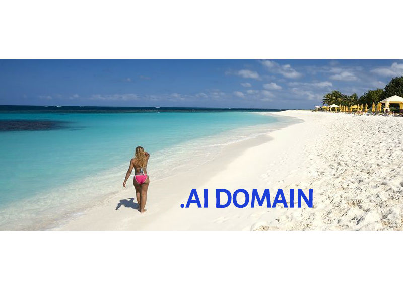 Anguilla ai domain name